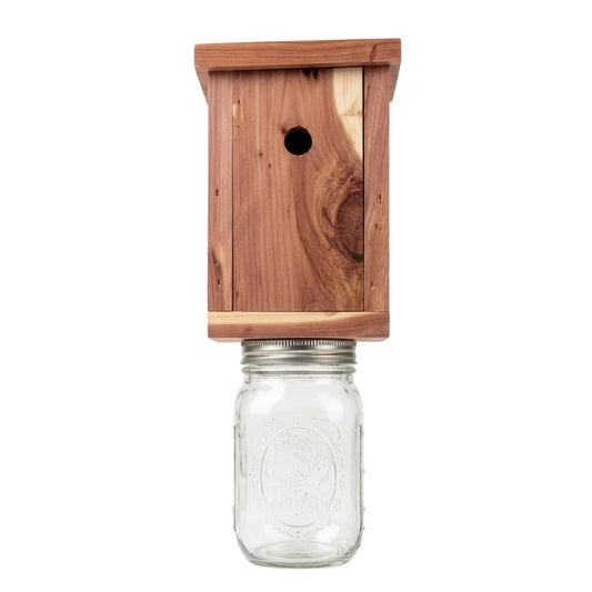 Pack of 2 Bee Trap with Mason Jar