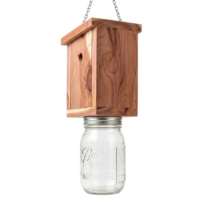 Pack of 2 Bee Trap with Mason Jar