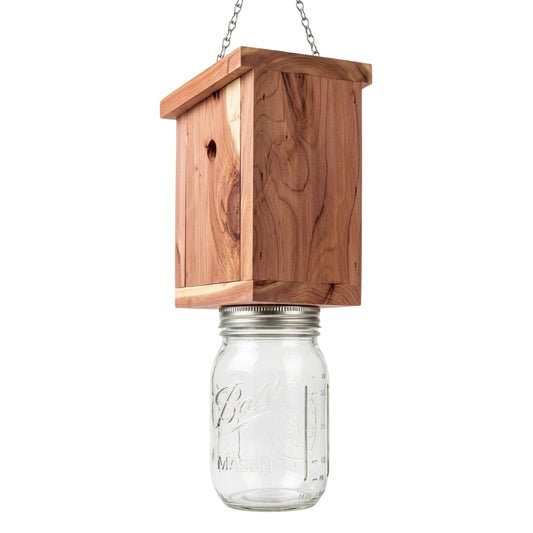 Pack of 2 Bee Trap with Mason Jar