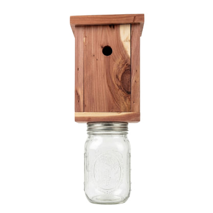 Pack of 2 Bee Trap with Mason Jar