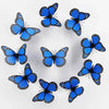 New 10Pcs 4.72 In Monarch Butterfly Decoration Stickers Fake Butterflies for Crafts Artificial Wall 3D Home Decor